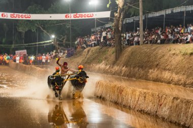 Kambala ya da Kambla, Hindistan 'ın Karnataka eyaletindeki çeltik tarlalarında yapılan yıllık bir bufalo yarışı.