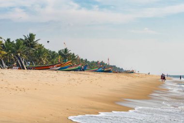Kerala, Hindistan 'daki ünlü Marari sahilinde geleneksel balıkçı tekneleri.