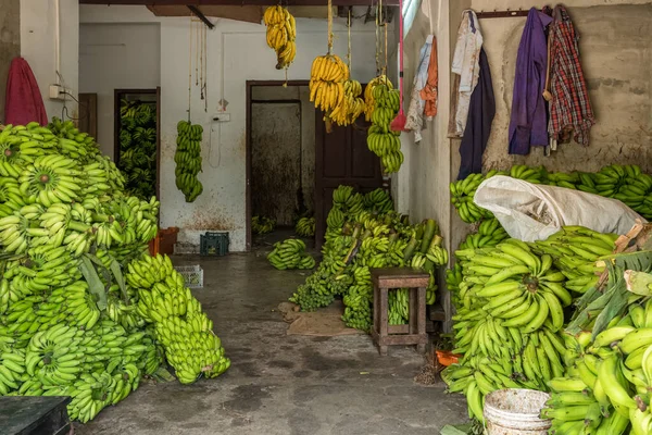 Lots of bananas in banana shop in Kerala, India — Stock Photo, Image