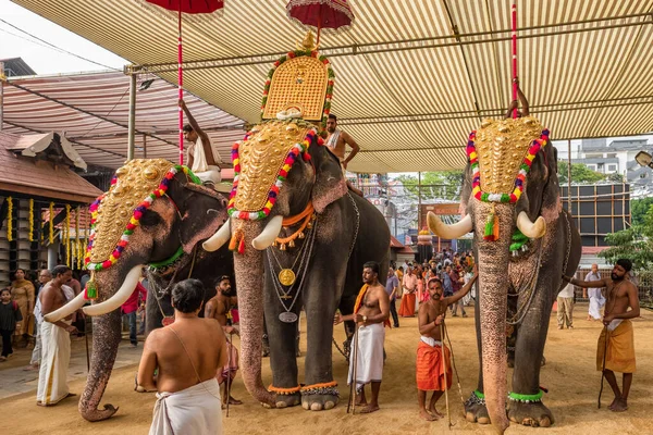 Des éléphants décorés participent à un festival annuel du temple de Siva à Ernakulam, dans l'État du Kerala, en Inde — Photo