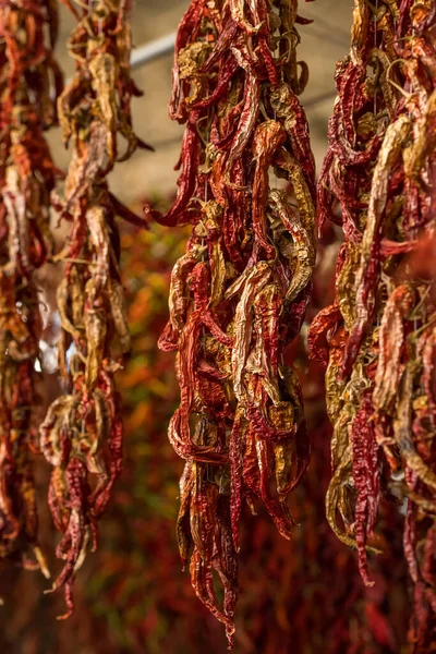 Närbild av röd torkad chilipeppar som hänger på marknaden i Turkiet — Stockfoto
