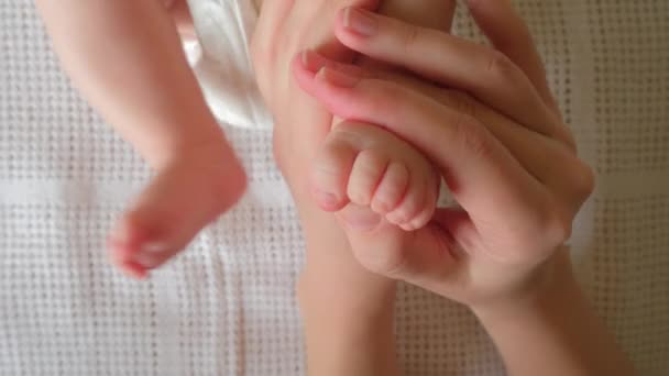 Bebé pies en las manos de la madre de cerca — Vídeos de Stock