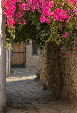 Türkiye 'nin Eski Datca kentindeki bougainvillea çiçekleriyle birlikte resimler dar geçidi
