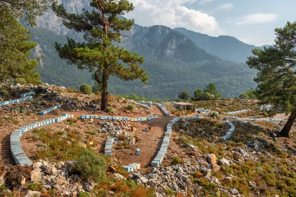 Apiary με πολλές κυψέλες μελισσών στη σειρά σε βουνά στην Τουρκία — Φωτογραφία Αρχείου