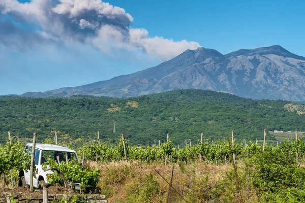 Vignobles siciliens avec éruption du volcan Etna en arrière-plan en Sicile, Italie — Photo