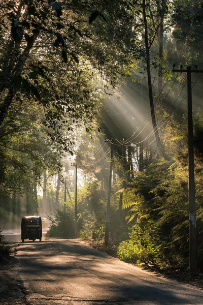 Indian Auto Rickshaw travelling through a tropical forest in Kerala, India. — Stock Photo, Image