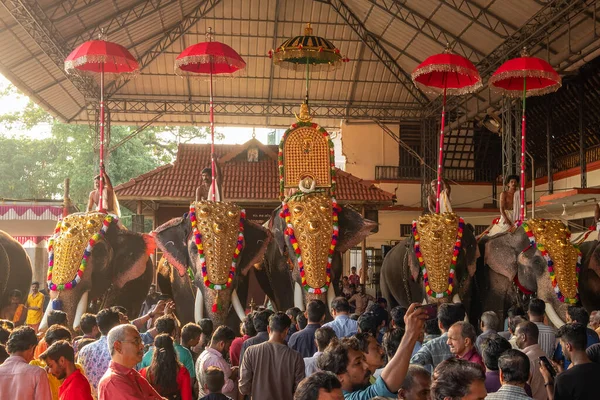 Éléphants décorés au festival du temple de Siva, Ernakulam, Kerala, Inde — Photo