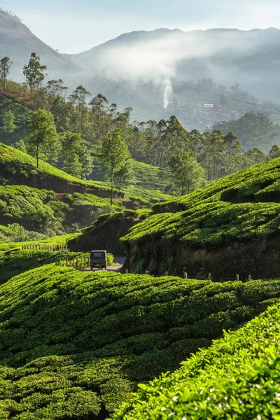 Paysage de plantations de thé avec pousse-pousse automobile indien traversant Munnar, Inde — Photo