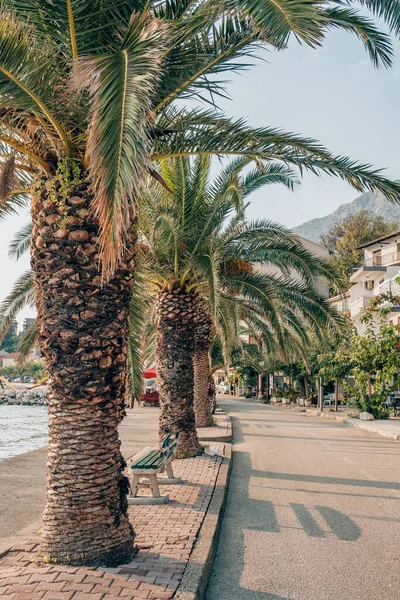 Vacker sommarutsikt över Trogirs gamla stad i Kroatien — Stockfoto