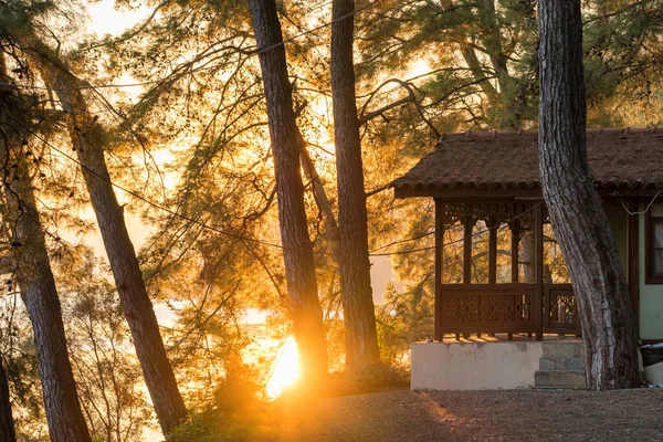 Liten trä bungalow hus i skogen på sjön stranden vid soluppgången. — Stockfoto