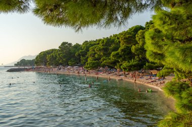 Makarska Riviera, Dalmaçya, Hırvatistan 'daki güzel plaj