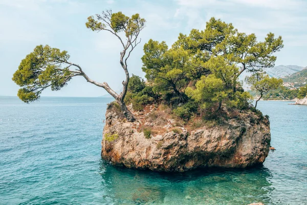 La famosa Roca de Brela en el Mar Adriático en la Riviera Makarska, Croacia. — Foto de Stock