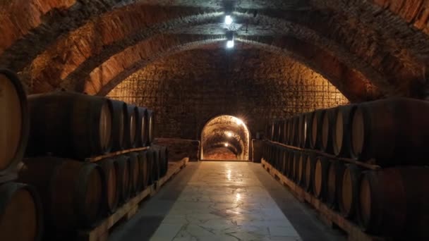 Viejas barricas de madera con vino en las antiguas bodegas medievales — Vídeos de Stock