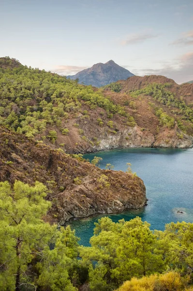 Bellissimo paesaggio della costa mediterranea con pini verdi e montagne rocciose. — Foto Stock