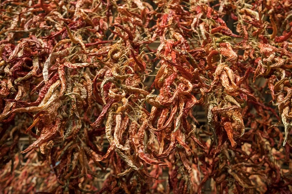 Sušený chilli paprika visí na trhu v Turecku — Stock fotografie