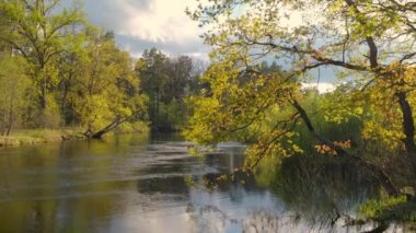 Sakin bir nehir ve güneşli bir günde taze yaprakları olan ağaçlarla güzel bir manzara..