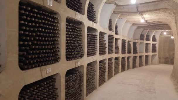 Μπουκάλια κρασιού στοιβαγμένα σε υπόγεια κάβα κρασιού — Αρχείο Βίντεο
