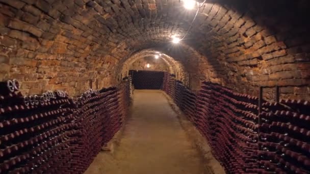 Старые бутылки вина в ряд в винном погребе — стоковое видео