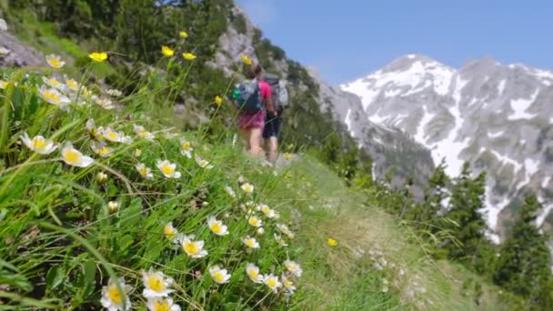 Belle randonnée entre les villages reculés de Theth et Valbona en Albanie — Video