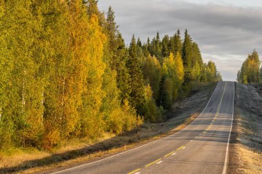 Finlandiya kırsalında güzel bir sonbahar ormanında otoyol