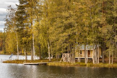 Göl kıyısında Finlandiya 'da küçük bir ada..