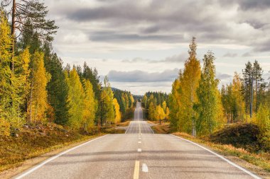 Finlandiya kırsalında güzel bir sonbahar ormanında otoyol
