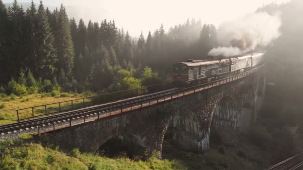 Flygfoto av ett tåg som korsar en vacker stenbro tidigt på morgonen. — Stockvideo