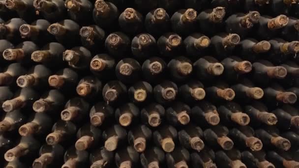 Staré láhve vína v řadách ve vinném sklepě — Stock video