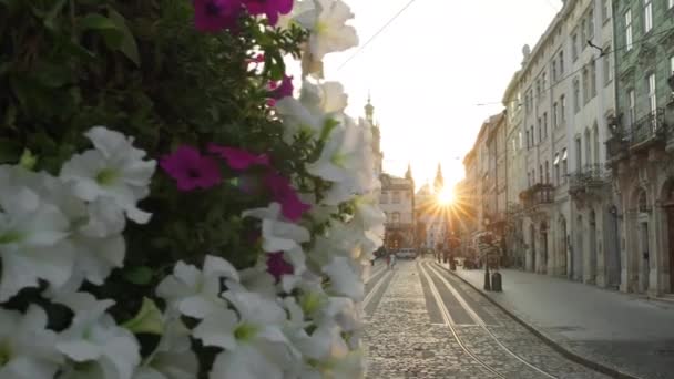 Leerer Marktplatz in der Lemberger Altstadt am frühen Morgen, Ukraine — Stockvideo