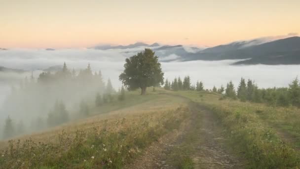 Time lapse della nebbia mattutina che copre la valle dei Carpazi, Ucraina — Video Stock