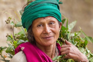 kadın Darjeeling, Hindistan.