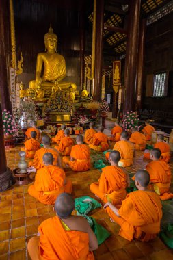 Genç Budist rahipler Tayland