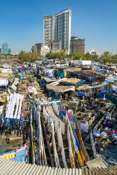 World 's largest outdoor laundry, India — стоковое фото