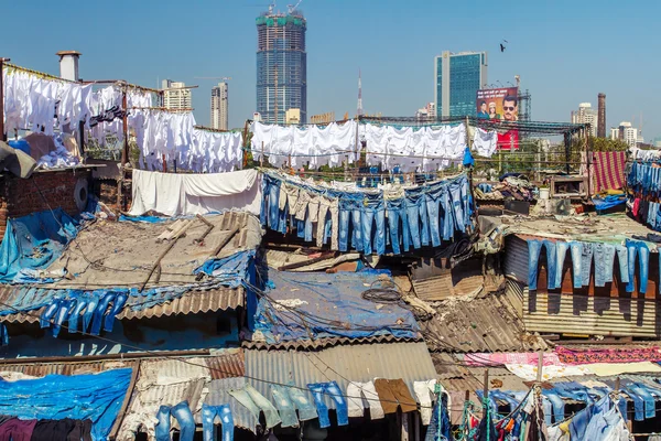 World 's largest outdoor laundry, India — стоковое фото