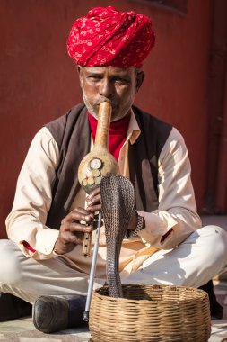 Indian snake charmer is playing the flute clipart