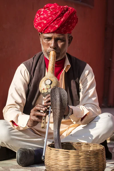 El encantador de serpientes indio está tocando la flauta — Foto de Stock