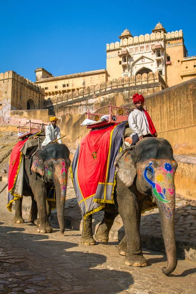 Elephant riders in the Amber Fort — Stock Photo, Image