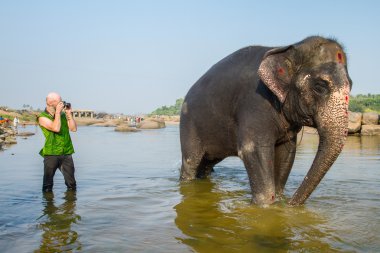 Fil resimleri alarak turizm