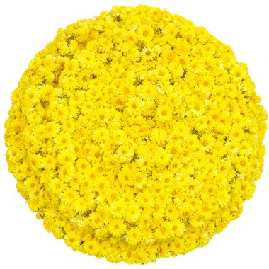 Yellow flowers garlands clipart