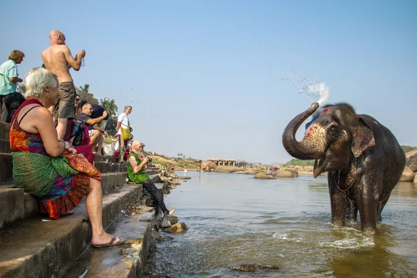 Tourists watching elephant — Stock Photo, Image