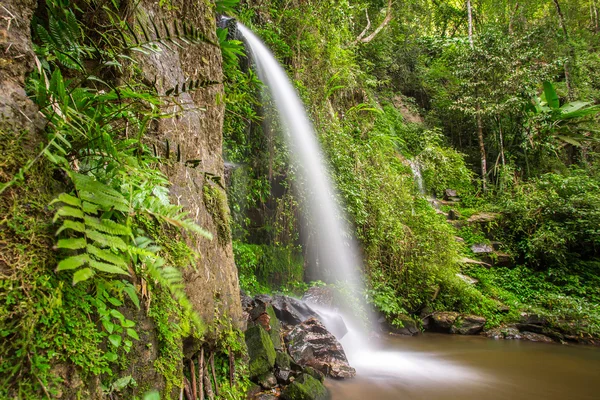 Waterfall in the jungle — Stock Photo, Image