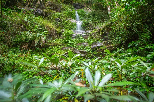 Waterfall in the tropical forest — Stock Photo, Image