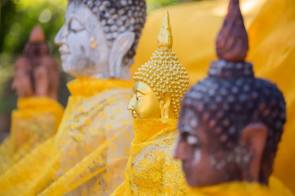 Golden Buddha statues — Stock Photo, Image