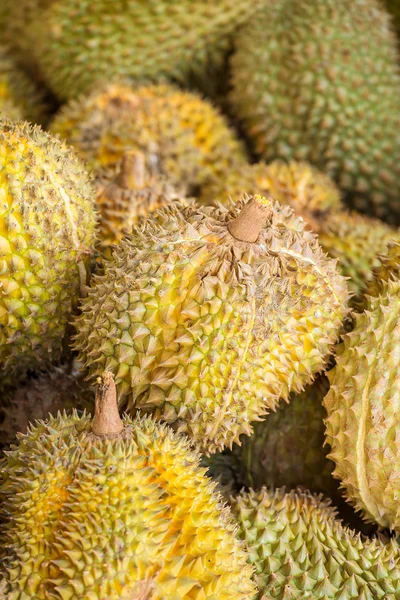 Färsk durian frukter — Stockfoto