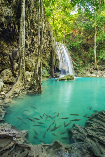 Hermosa cascada de Erawan — Foto de Stock