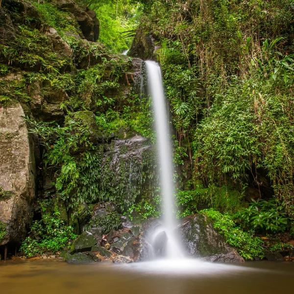 Bela cachoeira na selva — Fotografia de Stock