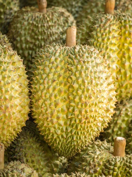 Frutas durianas maduras — Foto de Stock