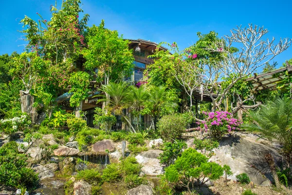 Tropisk grön trädgård i Thailand — Stockfoto