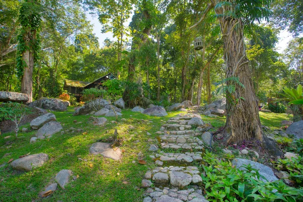 Tropikalny ogród zielony w Tajlandii — Zdjęcie stockowe