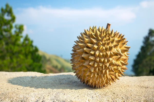 Färsk durian frukt — Stockfoto